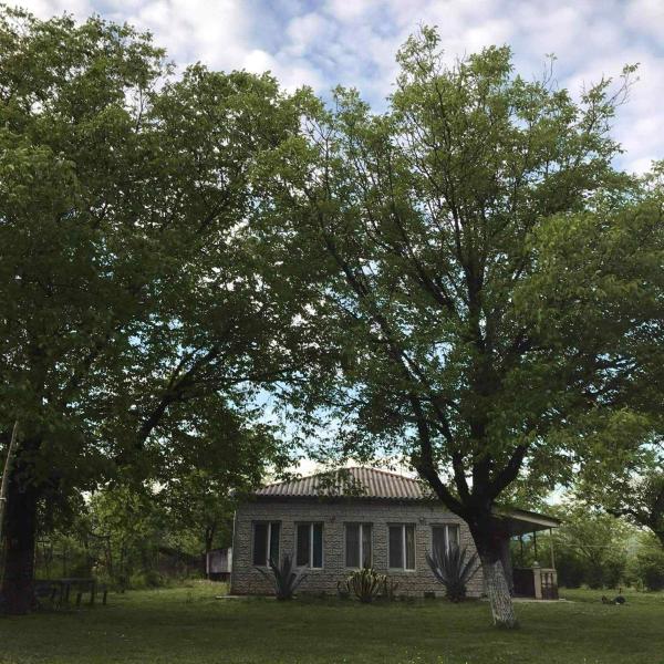 A la foto es mostra l'objecte ELENA HOUSE kONTUATI situat a la ciutat de Khoni.