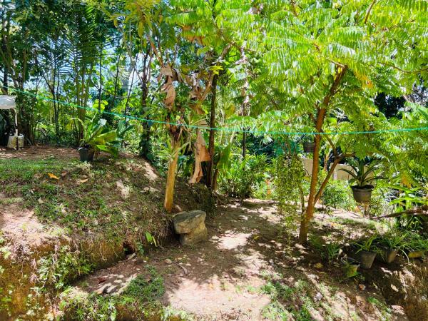 Dancing Faces - 2BR Private villa near Unawatunaの写真8