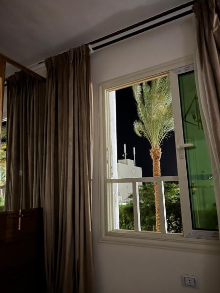 Фотография 2: Chic studio at a modern resort