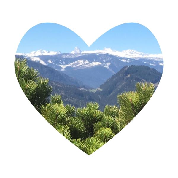 Gasthof Dachsteinblick - Steiermark