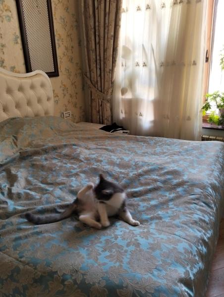 VIP Apartment Constantin, Baku