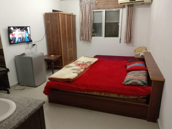 الليث 15 photo 2