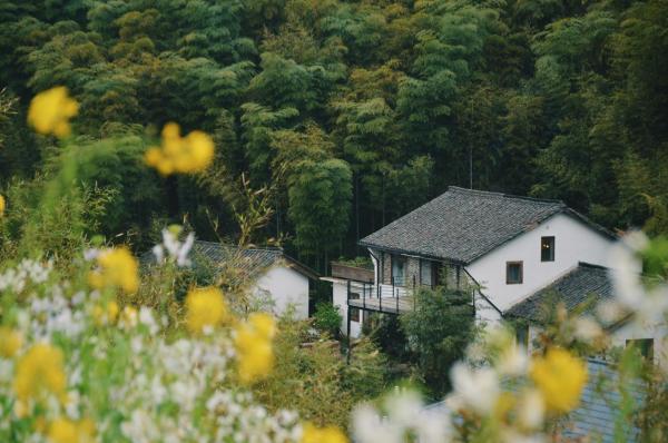 A la foto es mostra l'objecte Xipo Moganshan Resort Homestay situat a la ciutat de Fatou.