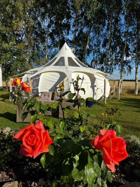 Na fotografii je vidět objekt Romantik Luxus Glamping 4 nacházející se ve městě Idestrup.