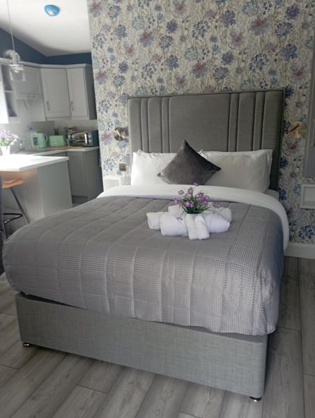 Na zdjęciu widoczny jest obiekt Tiernan's studio apartment położony w mieście Charlestown.