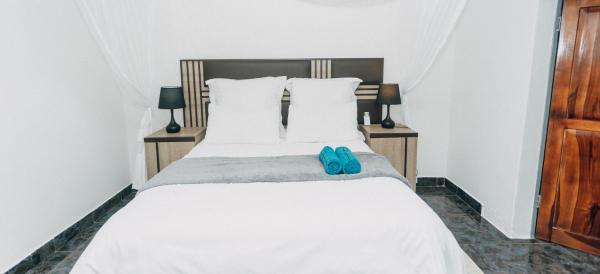 Na fotografii je vidět objekt Austin's Oasis Apartment nacházející se ve městě Livingstone.
