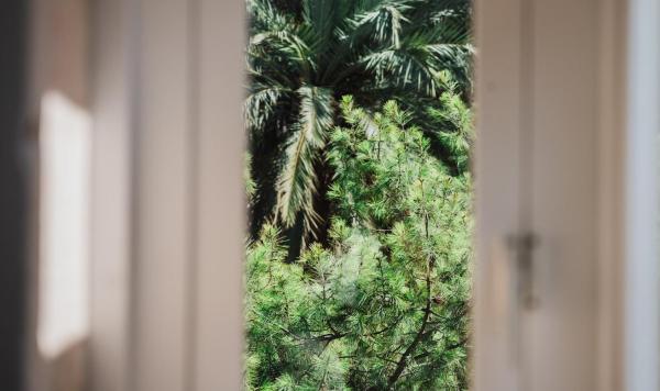 Billede 9: Charming Duplex by Valletta - No Extra Fee