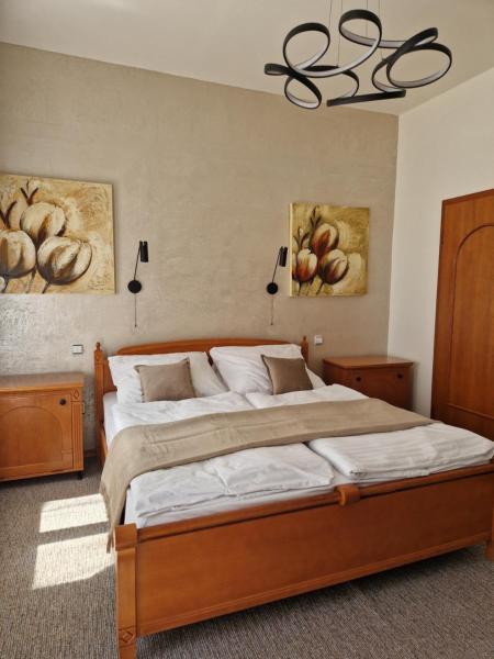 写真にはトレンチーン市にあるApartmán so vstupom do privátneho wellness a výhľadom na hradが写っています。