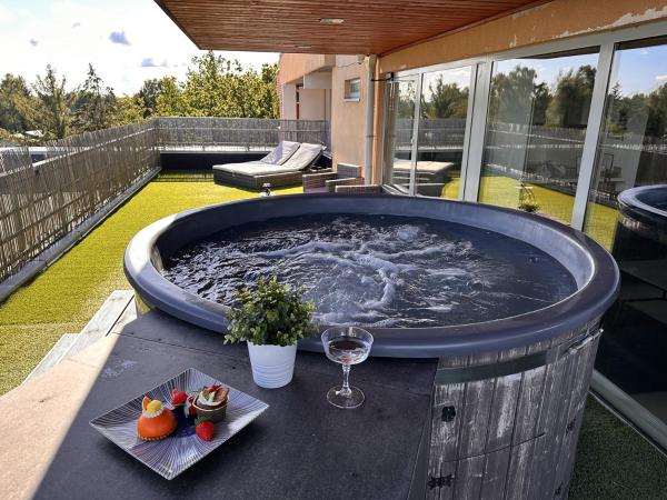 A la foto es mostra l'objecte Delux Penthouse & SPA situat a la ciutat de Riga.