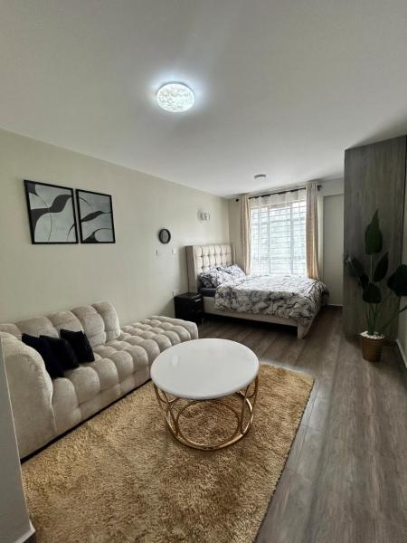 A la foto es mostra l'objecte The Luxe 24Studio Apartment situat a la ciutat de Muchatha.