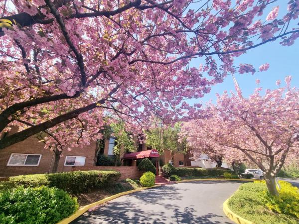1br W Balcony & Parking Monthly Discount - Chestnut Hill, PA