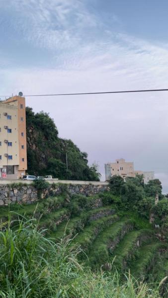 Bilde 2: السفير
