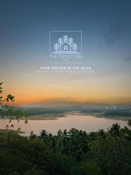 A la foto es mostra l'objecte The Forest Inn Kandy situat a la ciutat de Kandy.