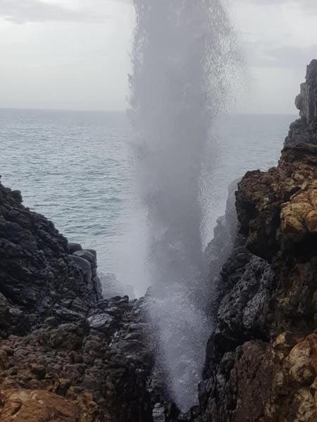 Na zdjęciu widoczny jest obiekt White house położony w mieście Moraketiara.