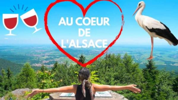 Na zdjęciu widoczny jest obiekt Plaisirs d'Alsace - Munster - Colmar - Route du vin położony w mieście Munster.