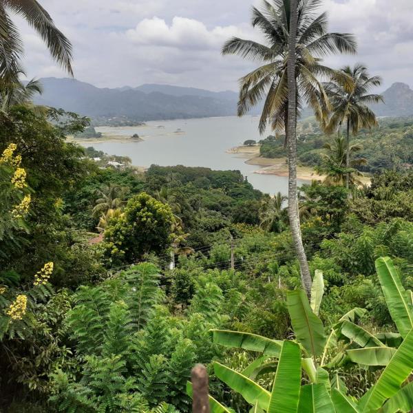 Auf dem Foto ist das Objekt Green Nature Villa kandy in der Stadt Gomagoda zu sehen.