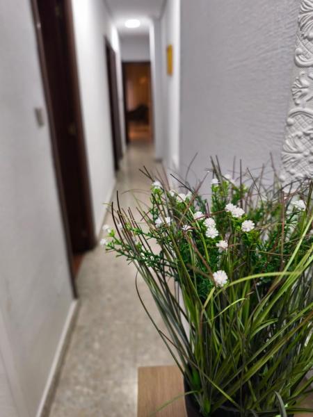 A la foto es mostra l'objecte Alojamiento Comercio. situat a la ciutat de Jaén.
