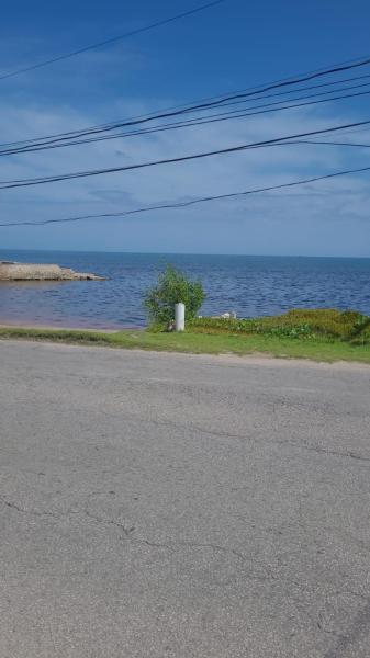 Billede 2: Partial Beachfront STudio Apt