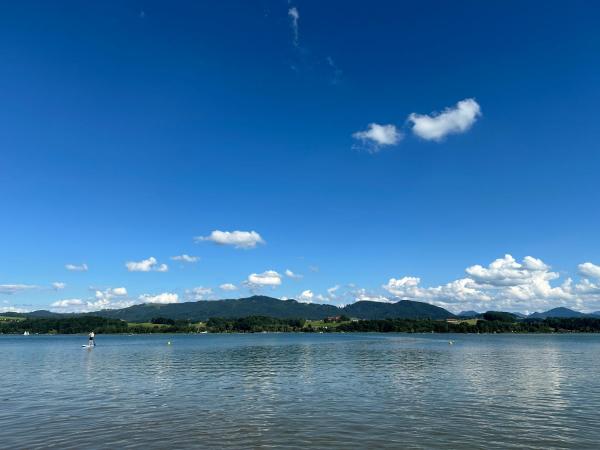 The photo shows the Tiny Haus am Wallersee located in the city of Köstendorf.