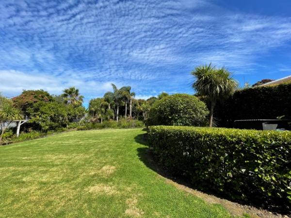 Moa Studios - Stay Waihekeの写真6