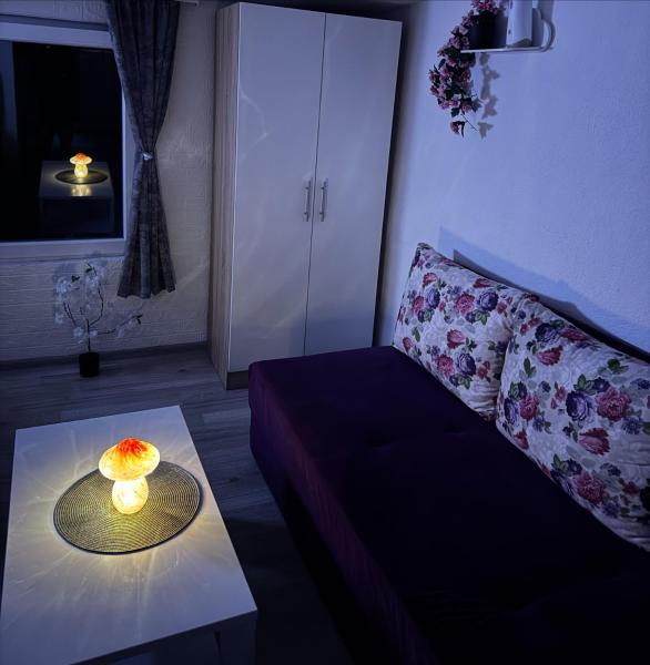 Na fotografii je vidět objekt Georgeous lux apartment nacházející se ve městě Foča.