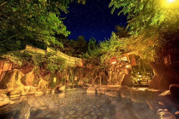 En la foto se muestra el objeto Ooedo Onsen Monogatari Miyoshiya ubicado en la ciudad de Shinonsen.