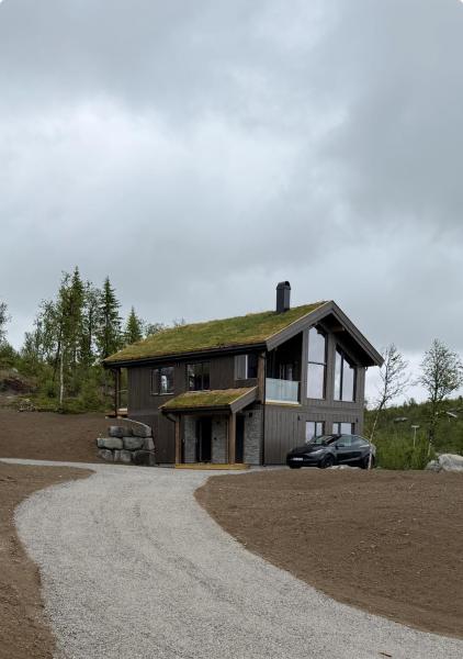 A la foto es mostra l'objecte Exclusive cabin with sauna and mountain view in Geilo situat a la ciutat de Hol.