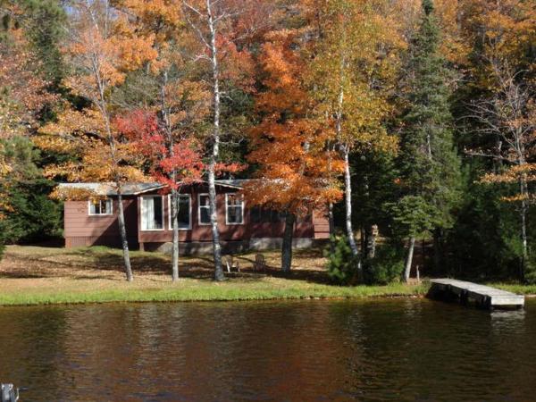 A la foto es mostra l'objecte Cozy Lake Cabin with a Sandy Beach and Pontoon Boat in North Wisconsin situat a la ciutat de Eagle River.