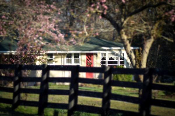 The photo shows the Cottage Rental with a Clawfoot Tub on a Working Farm in West Tennessee located in the city of Henderson.