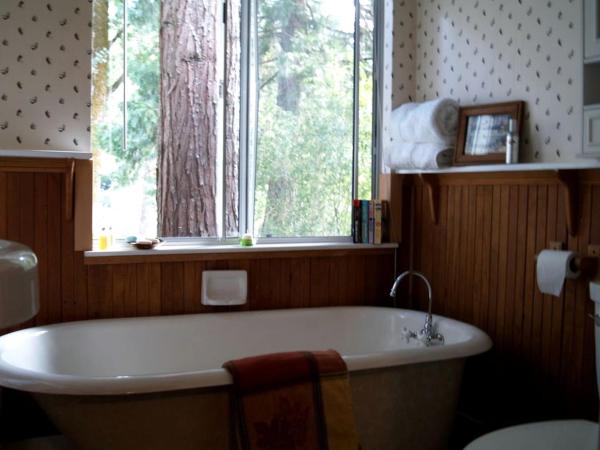Op de foto is het object Spectacular Riverside Getaway Cabin with Claw Foot Bathtub in Castella, California te zien, gelegen in de stad Dunsmuir.