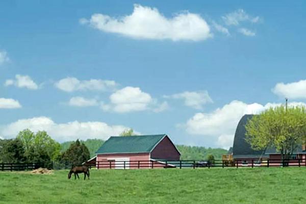 A la foto es mostra l'objecte Spacious Modular Rental on Huge Horse and Cattle Farm near Charlottesville, Virginia situat a la ciutat de Somerset.