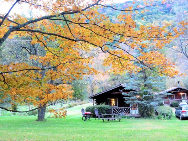 A la foto es mostra l'objecte Simple Cabin Camping for Families in the Catskills of Upstate New York situat a la ciutat de Oliverea.