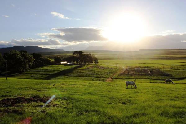 Blarney Stone Cottage - Nqanqarhu