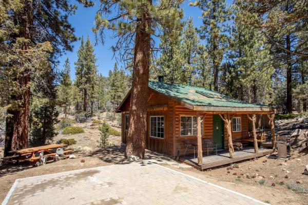Kuvassa näkyy kohde Cozy Four-Person Cabin Secluded in the Woodlands of Angelus Oaks, California, joka sijaitsee kaupungissa Forest Falls.