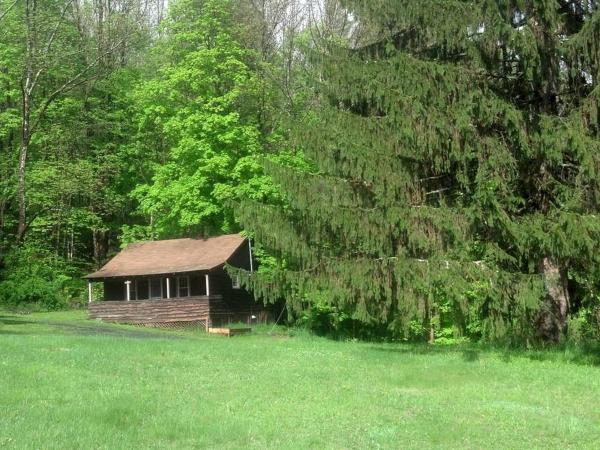 A la foto es mostra l'objecte Superb Family Cabin with Mountain Views and Deck in Shandaken, New York situat a la ciutat de Oliverea.