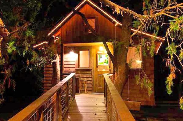 Na fotografii je vidět objekt Romantic and Unique Tree House Rental on a Private Ranch in Central Texas nacházející se ve městě Red Rock.