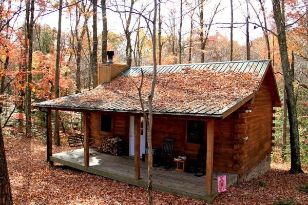 Auf dem Foto ist das Objekt Romantic Cabin Rental in the Forest near Beckley, West Virginia in der Stadt Victor zu sehen.