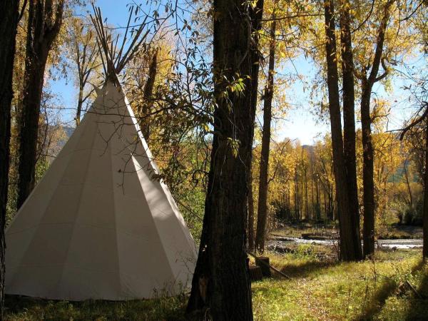 A la foto es mostra l'objecte Remote Glamping Tipi Rental in San Juan National Forest of Pagosa Springs, Colorado situat a la ciutat de Platoro.