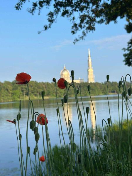 На фото показан объект DOMKI Nad Jeziorami Niedźwiady, расположенный в городе Лихень.