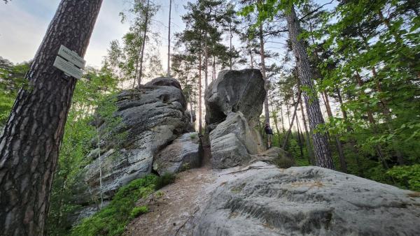 Na fotografii je vidět objekt U Studánky nacházející se ve městě Cvikov.