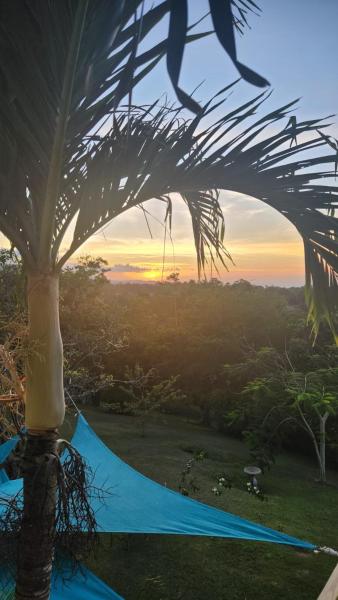 A la foto es mostra l'objecte Upton apartment Ocho rios situat a la ciutat de Prospect.