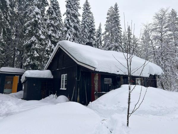 A la foto es mostra l'objecte Charming Cabin At The Foot Of The Mountain situat a la ciutat de Jordet.