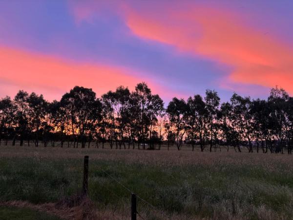 Cycle On Star Lane - Beechworth