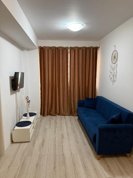 A la foto es mostra l'objecte Ayan Apartment situat a la ciutat de Roşu.