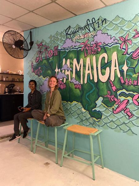 A la foto es mostra l'objecte Ragamuffin Hostel situat a la ciutat de Kingston.