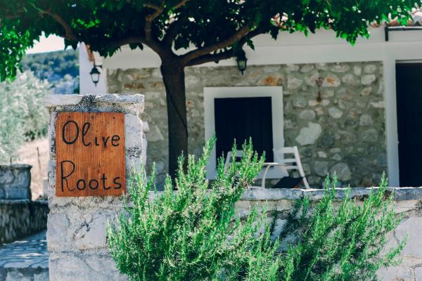 A la foto es mostra l'objecte Olive Roots situat a la ciutat de Avgón.
