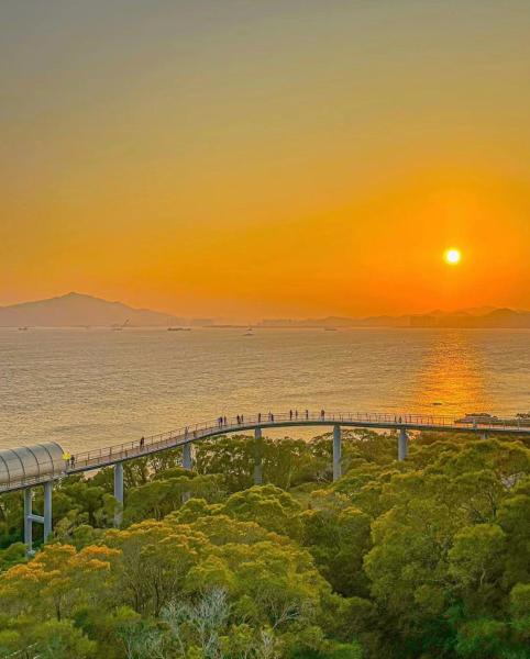 Billede 4: 厦门初默民宿