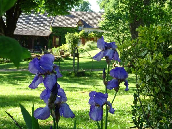 Gite Périgourdin - 3 Chambres - Dordogna