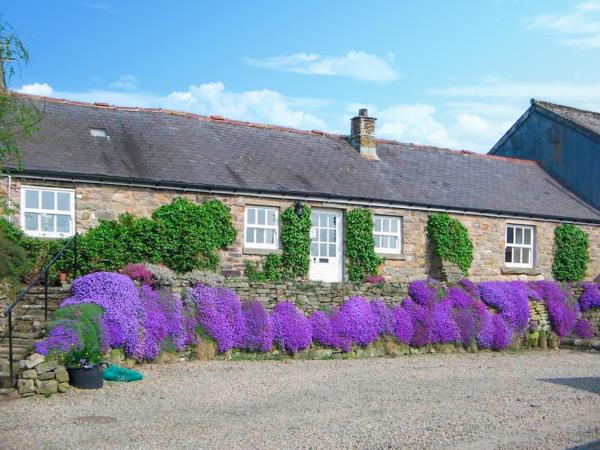Felbrook Cottage - Haltwhistle