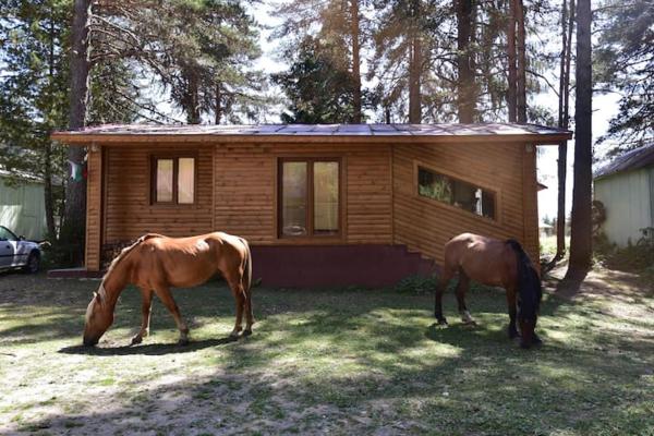 A la foto es mostra l'objecte Villa Margarita 1 situat a la ciutat de Semkovo.